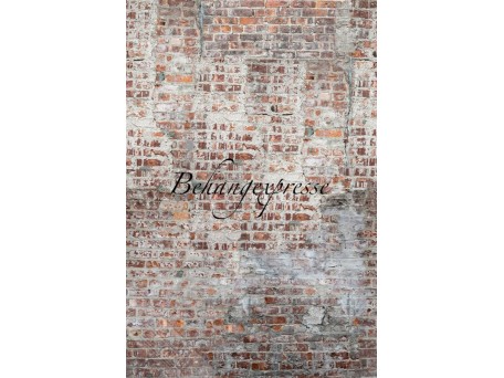 Ταπετσαρία Τοίχου LOUK INK 6084 COLRchoc 