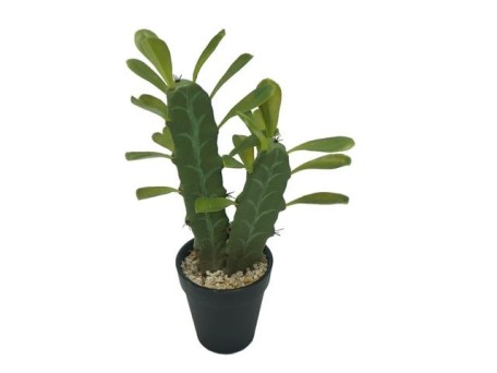 Artekko Baan Τεχνητό Παχύφυτο (18x9x32)cm