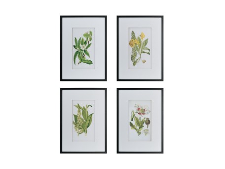 Artekko Botanical Πίνακας με Κορνίζα Πλαστικό Γυαλί Μαύρο Πράσινο (50x3x70)cm Σετ/4