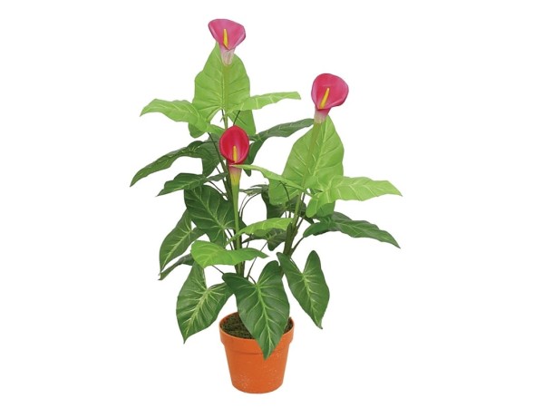 Artekko Crediu Τεχνητή Κάλλα 90cm Artekko Crediu Τεχνητή Κάλλα 90cm