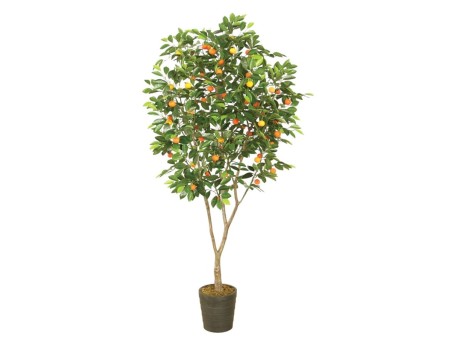 Artekko Ikau Τεχνητή Νερατζιά 200cm