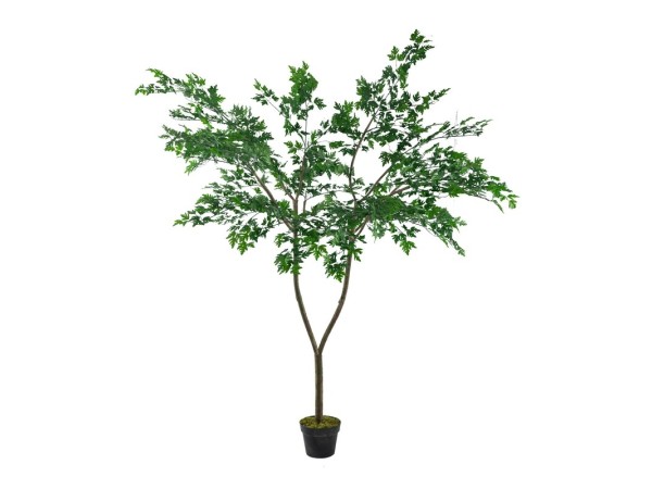 Artekko Polyscias Τεχνητό Φυτό σε Γλάστρα (90x90x150)cm Artekko Polyscias Τεχνητό Φυτό σε Γλάστρα (90x90x150)cm