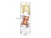 Sipo Wall sticker Bear on Swing Sipo Wall sticker Bear on Swing