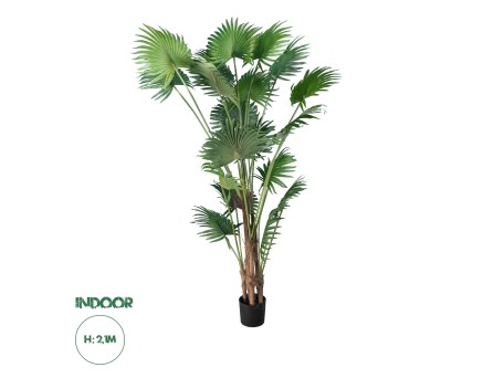 GloboStar® Artificial Garden PALM TREE 20014 Τεχνητό Διακοσμητικό Φυτό Φοινικόδεντρο Βεντάλια Υ210cm