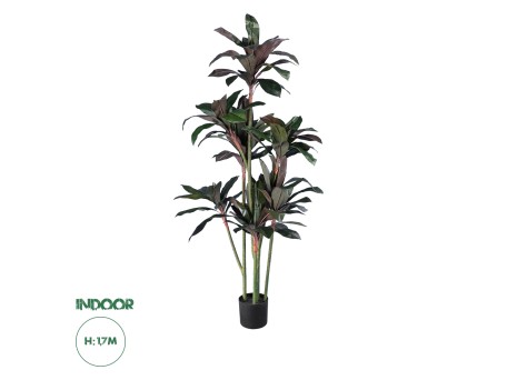 GloboStar® Artificial Garden MELANY FICUS 20041 Τεχνητό Διακοσμητικό Φυτό Φίκος Υ170cm