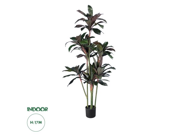 GloboStar® Artificial Garden MELANY FICUS 20041 Τεχνητό Διακοσμητικό Φυτό Φίκος Υ170cm