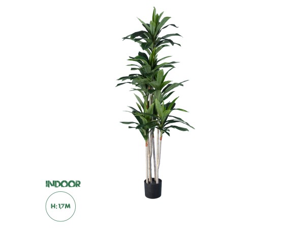 GloboStar® Artificial Garden DRACAENA SILK 20044 - Τεχνητό Διακοσμητικό Φυτό Δράκαινα Υ170cm