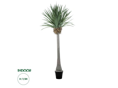 GloboStar® Artificial Garden BEAUCARNEA PALM TREE 20048 Τεχνητό Διακοσμητικό Φυτό Κυρτόφυλλος Μπουκαρνέα Υ250cm