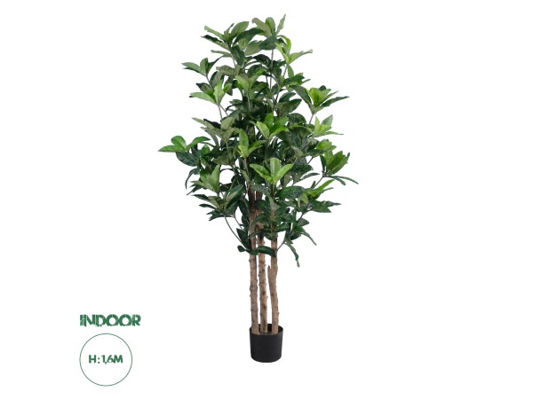 GloboStar® Artificial Garden FORTUNE GUIANA TREE 20056 Τεχνητό Διακοσμητικό Φυτό Καστανιά του Μαλαμπάρ Υ160cm GloboStar® Artificial Garden FORTUNE GUIANA TREE 20056 Τεχνητό Διακοσμητικό Φυτό Καστανιά του Μαλαμπάρ Υ160cm