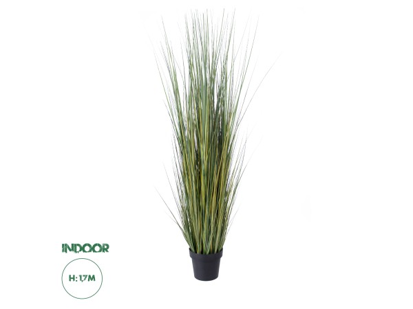 GloboStar® Artificial Garden PAMPAS GRASS 20072 Τεχνητό Διακοσμητικό Φυτό Γρασίδι της Πάμπας Υ170cm