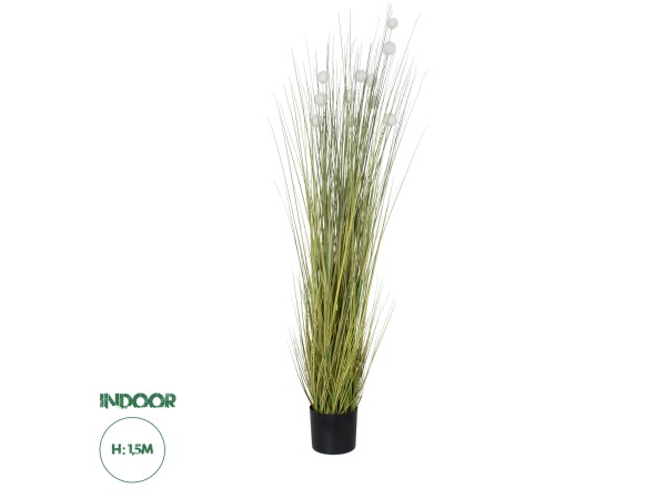 GloboStar® Artificial Garden ERIOPHORUM ANGUSTIFOLIUM COTTON GRASS 20073 Τεχνητό Διακοσμητικό Φυτό Γρασίδι του Βαμβακιού Υ150cm