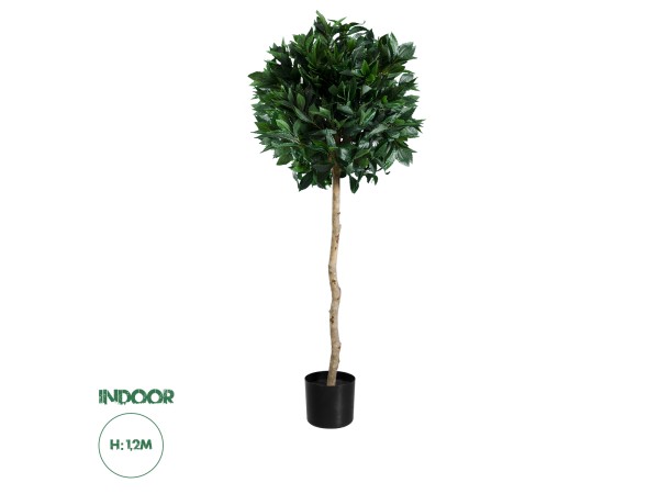 GloboStar® Artificial Garden LAUREL 20084 Τεχνητό Διακοσμητικό Φυτό Δάφνη Υ120cm