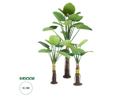 GloboStar® Artificial Garden TARO SET 20089 Τεχνητό Διακοσμητικό Σετ Φυτών Κολοκασία A:Υ300cm B:Υ210cm C:Υ160cm