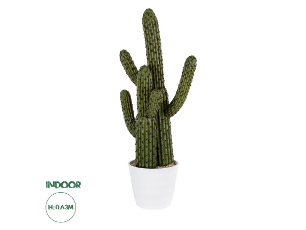 GloboStar® Artificial Garden CARNEGIEA CACTUS 20100 Τεχνητό Διακοσμητικό Φυτό Κάκτος Σαγκουάρο Υ63cm GloboStar® Artificial Garden CARNEGIEA CACTUS 20100 Τεχνητό Διακοσμητικό Φυτό Κάκτος Σαγκουάρο Υ63cm