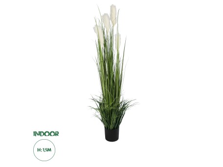 GloboStar® Artificial Garden PAMPAS GRASS 20106 Τεχνητό Διακοσμητικό Φυτό Γρασίδι της Πάμπας Υ150cm