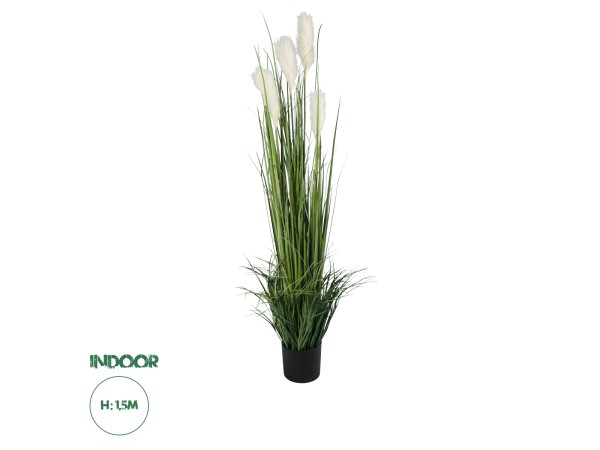 GloboStar® Artificial Garden PAMPAS GRASS 20106 Τεχνητό Διακοσμητικό Φυτό Γρασίδι της Πάμπας Υ150cm GloboStar® Artificial Garden PAMPAS GRASS 20106 Τεχνητό Διακοσμητικό Φυτό Γρασίδι της Πάμπας Υ150cm