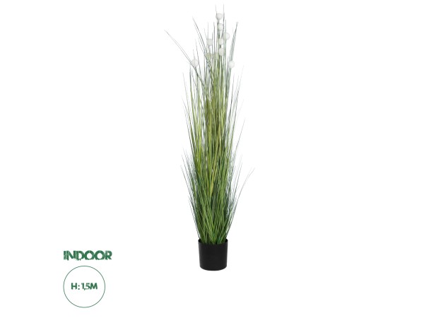 GloboStar® Artificial Garden LAGURUS GRASS 20111 Τεχνητό Διακοσμητικό Φυτό Λαγοουρά Υ150cm