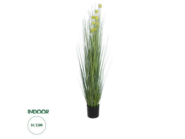 GloboStar® Artificial Garden CRASPEDIA GRASS 20112 Τεχνητό Διακοσμητικό Φυτό Κρασπέδια Υ150cm