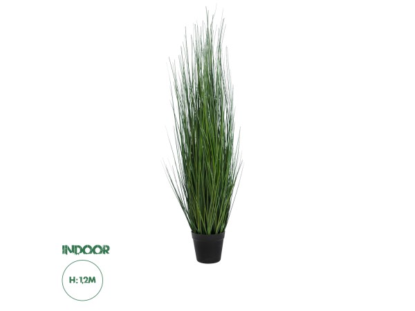 GloboStar® Artificial Garden MISCANTHUS SINENSIS 20116 Τεχνητό Διακοσμητικό Φυτό Μίσχανθος Υ120cm