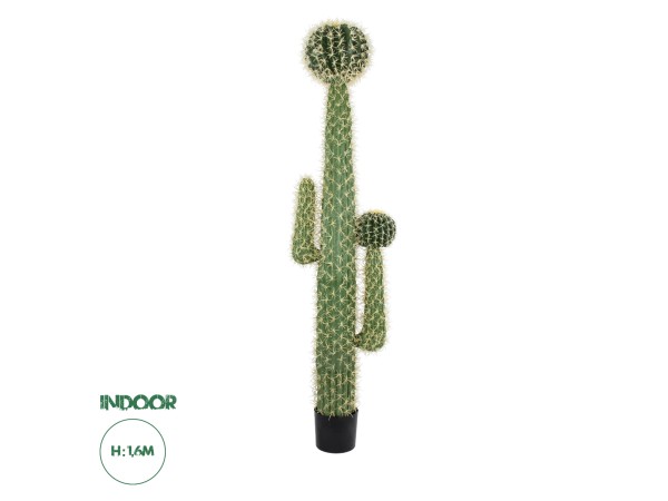 GloboStar® Artificial Garden CARNEGIEA CACTUS 20135 Τεχνητό Διακοσμητικό Φυτό Κάκτος Σαγκουάρο Υ180cm GloboStar® Artificial Garden CARNEGIEA CACTUS 20135 Τεχνητό Διακοσμητικό Φυτό Κάκτος Σαγκουάρο Υ180cm