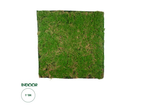 GloboStar® Artificial Garden BRYOPHYTA 20144 Τεχνητό Διακοσμητικό Πάνελ Φυλλωσιάς - Κάθετος Κήπος Βρύα Μ100 x Π100 x Υ3cm