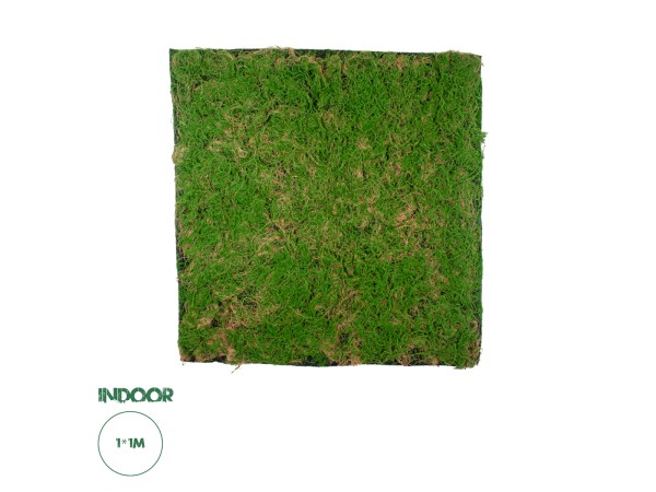 GloboStar® Artificial Garden BRYOPHYTA 20144 Τεχνητό Διακοσμητικό Πάνελ Φυλλωσιάς - Κάθετος Κήπος Βρύα Μ100 x Π100 x Υ3cm