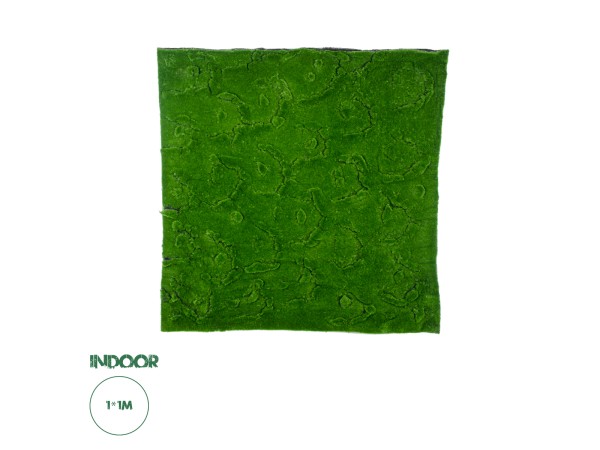 GloboStar® Artificial Garden BRYOPHYTA 20145 Τεχνητό Διακοσμητικό Πάνελ Φυλλωσιάς - Κάθετος Κήπος Βρύα Μ100 x Π100 x Υ3cm
