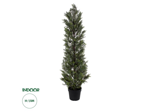 GloboStar® Artificial Garden LEMON CYPRESS 20153 Τεχνητό Διακοσμητικό Φυτό Λεμονόκυπάρισσο Υ180cm