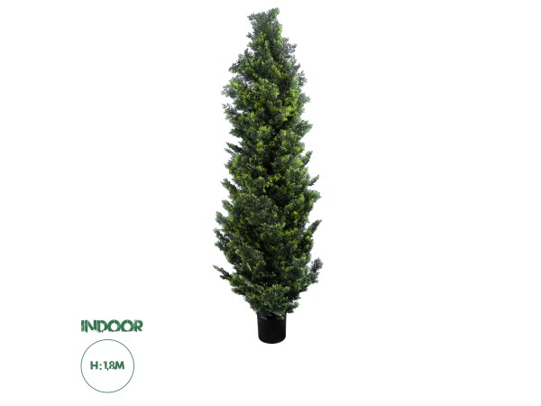 GloboStar® Artificial Garden CYPRESSUS LEYLANDII 20156 Τεχνητό Διακοσμητικό Φυτό Κυπαρίσσι Λέιλαντ Υ180cm GloboStar® Artificial Garden CYPRESSUS LEYLANDII 20156 Τεχνητό Διακοσμητικό Φυτό Κυπαρίσσι Λέιλαντ Υ180cm