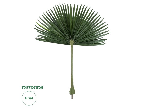 GloboStar® Artificial Garden WASHINGTONIA FILIFERA PALM LEAF 20171 Τεχνητό Διακοσμητικό Φύλο Φοινικόδεντρου Βεντάλια Π170 x Υ200cm
