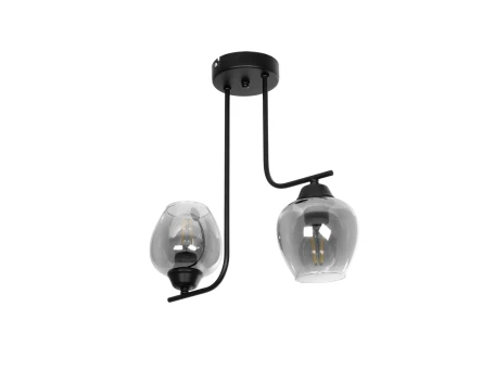 GLOBOSTAR® GLOSSA 201-0091 Vintage Φωτιστικό Οροφής με Ντουί 2 x E27 AC 220-240V IP20 - Μαύρο & Μαύρο Φιμέ - Μ40 x Π15 x Υ17cm