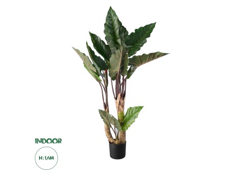 GloboStar® Artificial Garden RAINBOW TARO 20208 Τεχνητό Διακοσμητικό Φυτό Κολοκασία Υ160cm