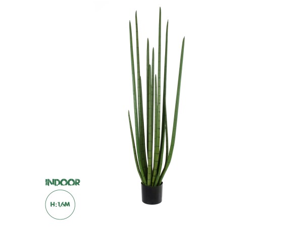 GloboStar® Artificial Garden SANSEVIERIA CYLINDRICA 20211 Τεχνητό Διακοσμητικό Φυτό Σανσεβιέρια Υ160cm