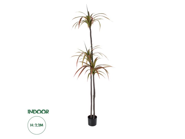 GloboStar® Artificial Garden DRAGON BLOOD TREE 20371 - Τεχνητό Διακοσμητικό Φυτό Δράκαινα Υ220cm