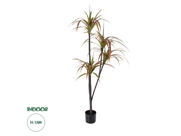 GloboStar® Artificial Garden DRAGON BLOOD TREE 20372 - Τεχνητό Διακοσμητικό Φυτό Δράκαινα Υ180cm GloboStar® Artificial Garden DRAGON BLOOD TREE 20372 - Τεχνητό Διακοσμητικό Φυτό Δράκαινα Υ180cm