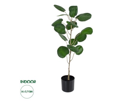 GloboStar® Artificial Garden POLYSCIAS BALFOURIANA TREE 20373 Τεχνητό Διακοσμητικό Φυτό Πολυσκιά Υ70cm