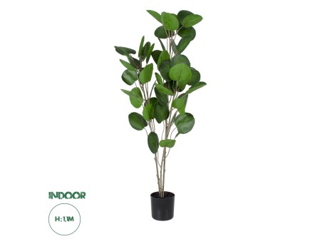 GloboStar® Artificial Garden POLYSCIAS BALFOURIANA TREE 20374 Τεχνητό Διακοσμητικό Φυτό Πολυσκιά Υ110cm