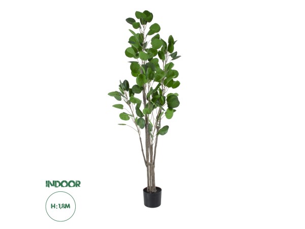 GloboStar® Artificial Garden POLYSCIAS BALFOURIANA TREE 20375 Τεχνητό Διακοσμητικό Φυτό Πολυσκιά Υ180cm GloboStar® Artificial Garden POLYSCIAS BALFOURIANA TREE 20375 Τεχνητό Διακοσμητικό Φυτό Πολυσκιά Υ180cm
