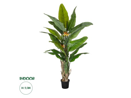 GloboStar® Artificial Garden BANANA STRELITZIA REGINAE 20381 - Τεχνητό Διακοσμητικό Φυτό  Μπανανιά - Στρελίτσια - Πουλί του Παραδείσου Υ230cm