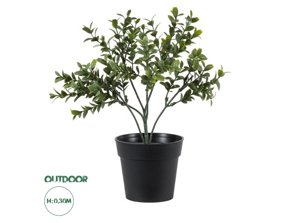 GloboStar® Artificial Garden BUXUS 20388 Τεχνητό Διακοσμητικό Φυτό Πυξός Υ30cm GloboStar® Artificial Garden BUXUS 20388 Τεχνητό Διακοσμητικό Φυτό Πυξός Υ30cm