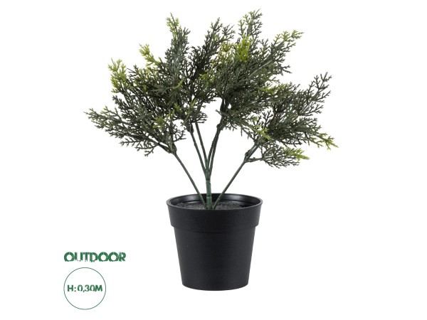 GloboStar® Artificial Garden LEMON CYPRESS 20389 Τεχνητό Διακοσμητικό Φυτό Λεμονόκυπάρισσο Υ30cm