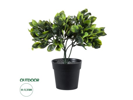 GloboStar® Artificial Garden ANUBIA BARTERI 20390 Τεχνητό Διακοσμητικό Φυτό Ανούμπια Υ30cm