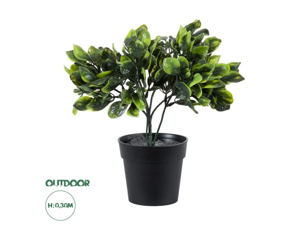 GloboStar® Artificial Garden ANUBIA BARTERI 20390 Τεχνητό Διακοσμητικό Φυτό Ανούμπια Υ30cm