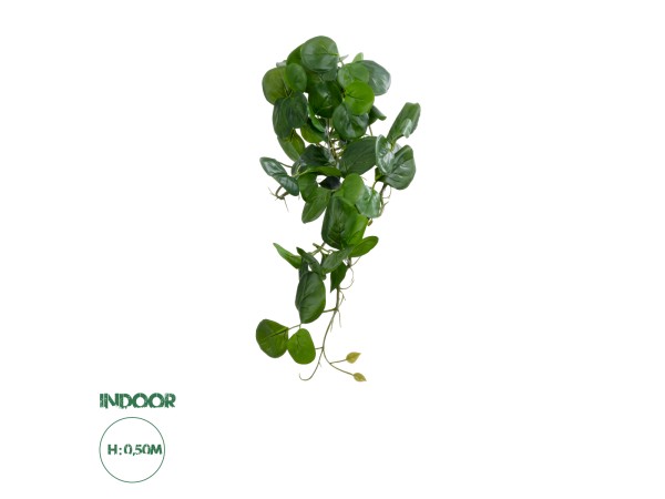 GloboStar® Artificial Garden HANGING PEPEROMIA 20599 Τεχνητό Διακοσμητικό Κρεμαστό Φυτό Πεπερόμια Μ30 x Π31 x Υ50cm GloboStar® Artificial Garden HANGING PEPEROMIA 20599 Τεχνητό Διακοσμητικό Κρεμαστό Φυτό Πεπερόμια Μ30 x Π31 x Υ50cm