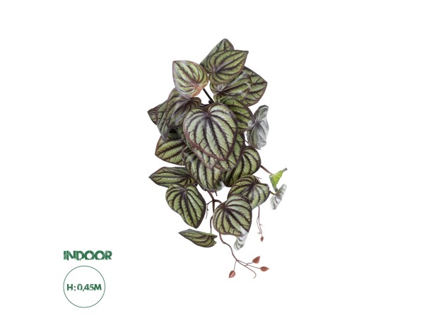 GloboStar® Artificial Garden PEPEROMIA HANGING PLANT 20602 Τεχνητό Διακοσμητικό Κρεμαστό Φυτό Πεπερόμια Υ45cm GloboStar® Artificial Garden PEPEROMIA HANGING PLANT 20602 Τεχνητό Διακοσμητικό Κρεμαστό Φυτό Πεπερόμια Υ45cm