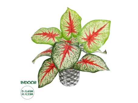 GloboStar® Artificial Garden CALADIUM 20891 Τεχνητό Διακοσμητικό Φυτό Τροπικό Φυτό Καλάδιο Φ40 x Υ33cm