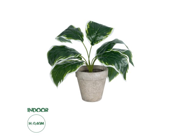GloboStar® Artificial Garden WHITE HOSTA PLANT 20900 Διακοσμητικό Φυτό Λευκή  Χόστα Φ45 x Υ40cm