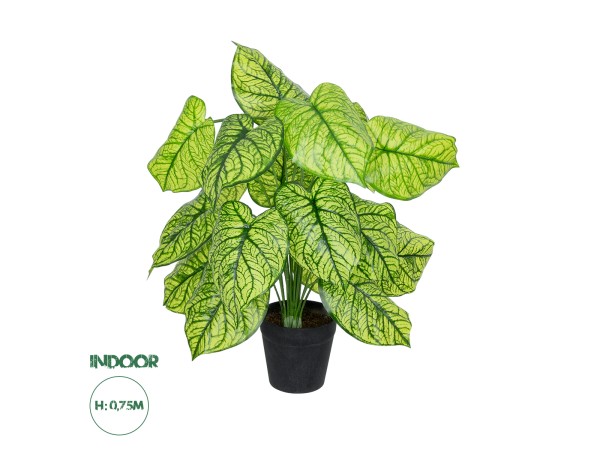 GloboStar® Artificial Garden CALADIUM PLANT 20913 Διακοσμητικό Φυτό Καλάντιουμ Φ55 x Υ75cm