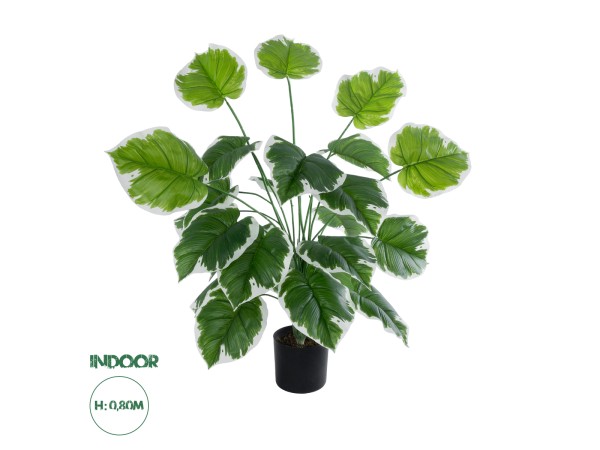 GloboStar® Artificial Garden WHITE HOSTA PLANT 20920 Διακοσμητικό Φυτό Λευκή Χόστα Φ87 x Υ80cm GloboStar® Artificial Garden WHITE HOSTA PLANT 20920 Διακοσμητικό Φυτό Λευκή Χόστα Φ87 x Υ80cm