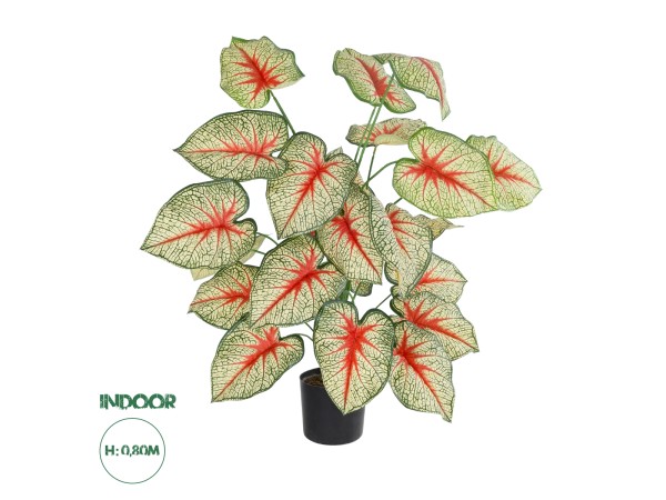 GloboStar® Artificial Garden CALADIUM PLANT 20921 Διακοσμητικό Φυτό Καλάντιουμ Φ75 x Υ80cm